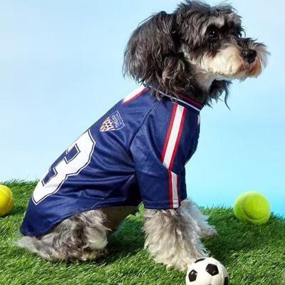 Fusion Finds Breathable Dog Basketball Jersey Summer Mesh Pet Sports Shirt For Small Dogs & Cats l