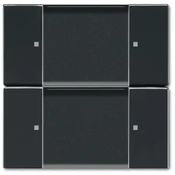 Busch-Jaeger Wandsender 6736/01-81
