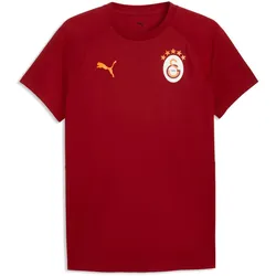 PUMA Galatasaray Istanbul Evostripe T-Shirt 2026/27 Herren 01 - dark cherry/summer sunset XS