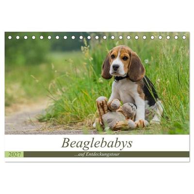 Beaglebabys auf Entdeckungstour (Tischkalender 2027 DIN A5 quer), CALVENDO Monatskalender