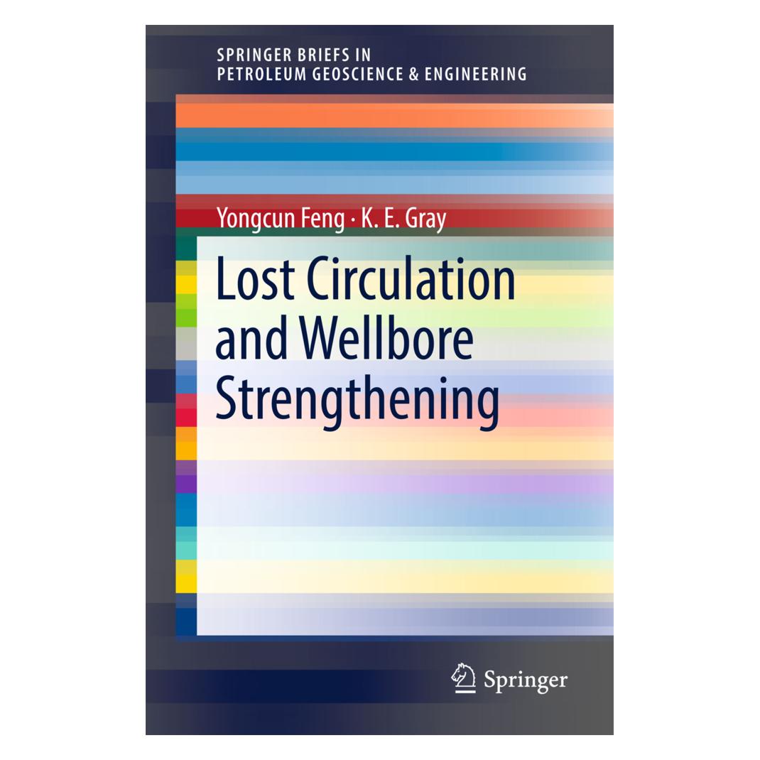 Springer Lost Circulation and Wellbore Strengthening (Englisch, Softcover, K E Gray, Yongcun Feng) (38972570)