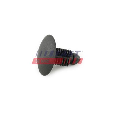 FAST Spreizniet FT96308 für Citroën Fiat