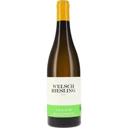Welschriesling Velich 2024