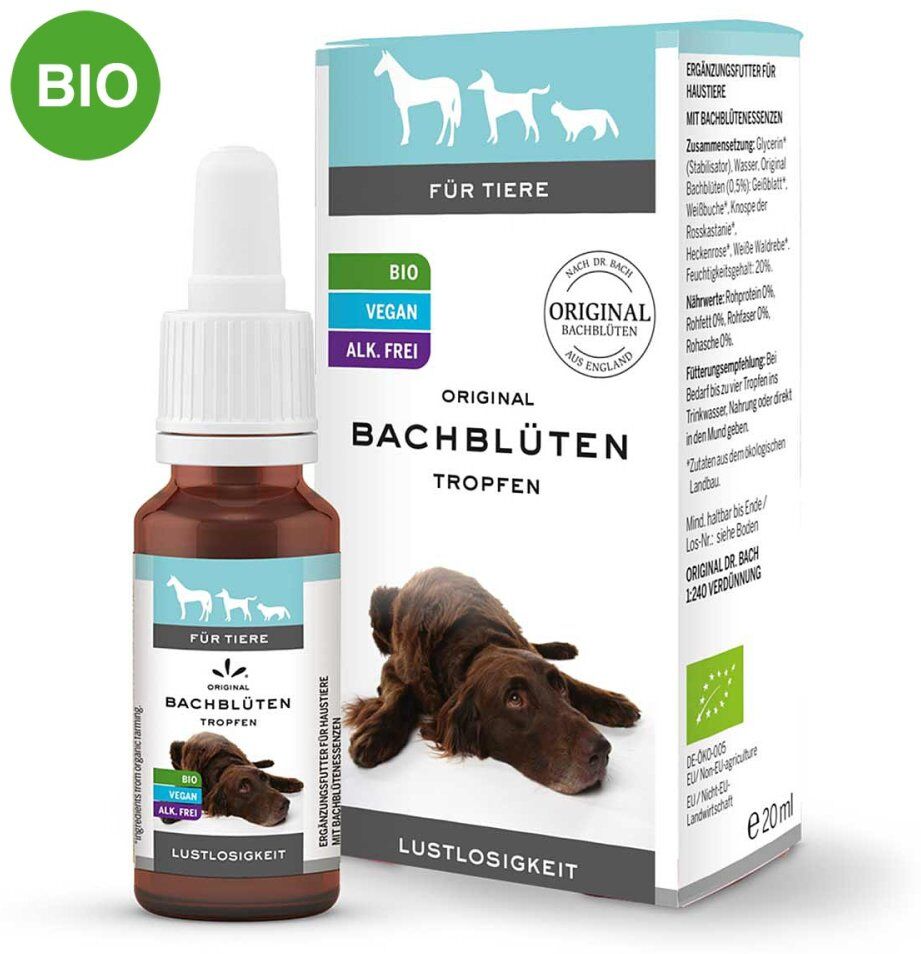 Bachblüten Tiere Tropfen Lustlosigkeit