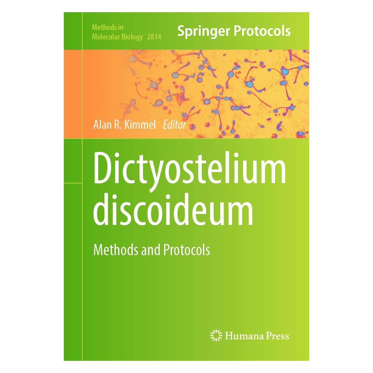 Springer Dictyostelium discoideum (Englisch, Hardcover, Alan R. Kimmel) (9781071638934)