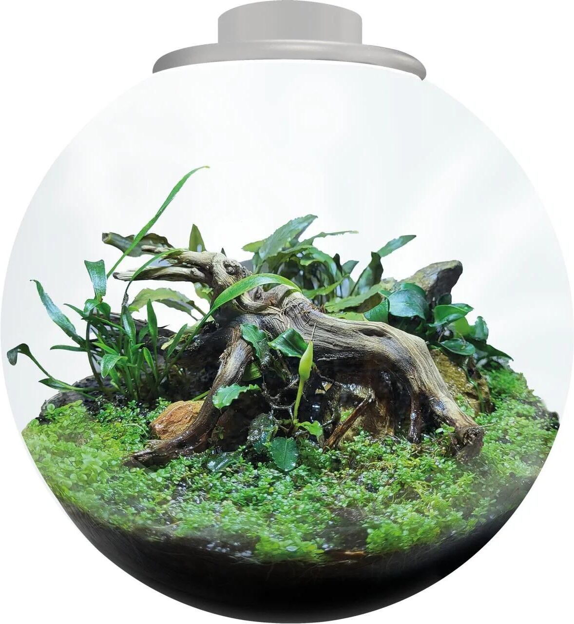 Pflanzeinsatz "Bio Art Bowl 225", grün (weiß), Glas, Pflanzgefässe, Pflanzeinsatz weiß Einheitsgröße
