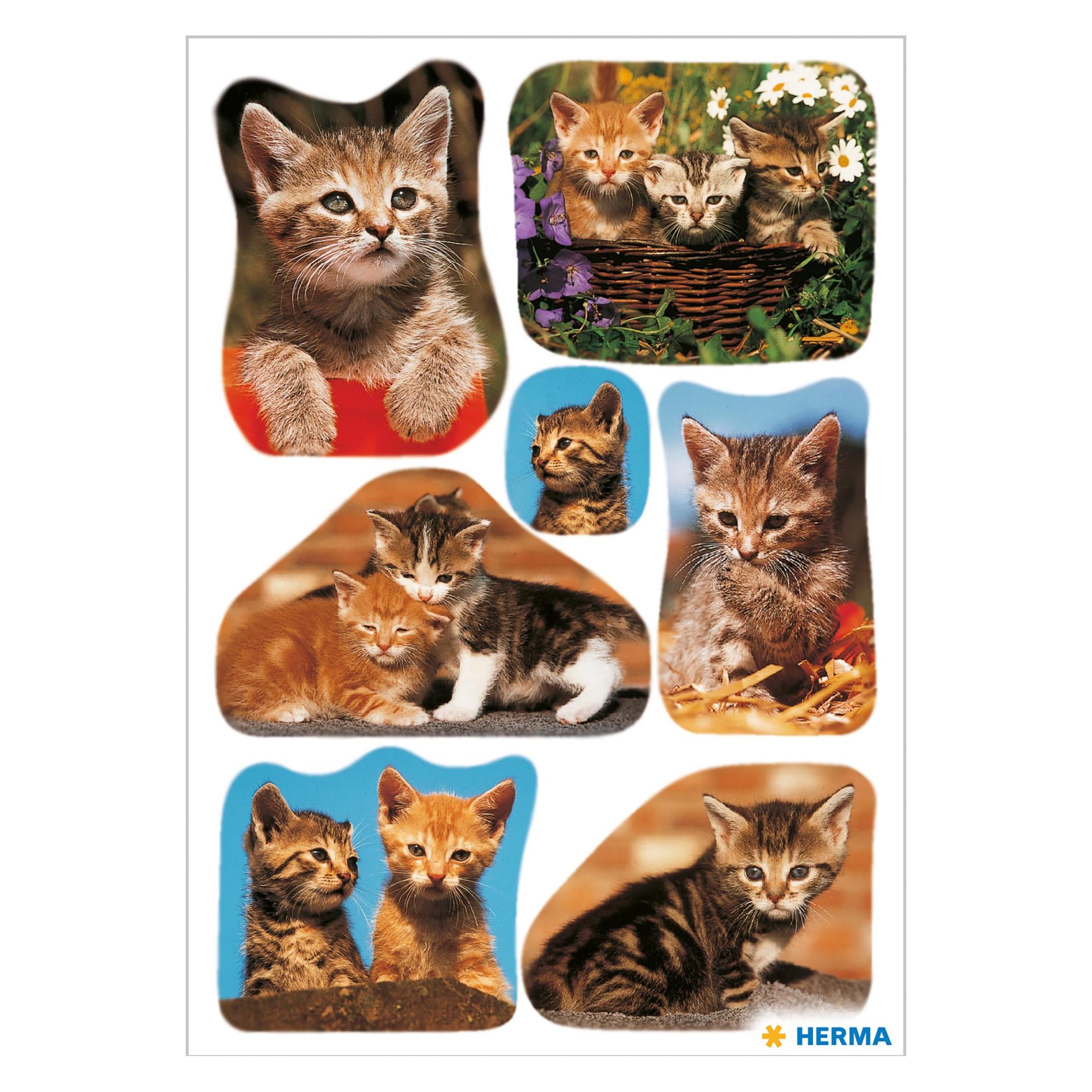Herma Sticker Katzen (21 Sticker) (3527)