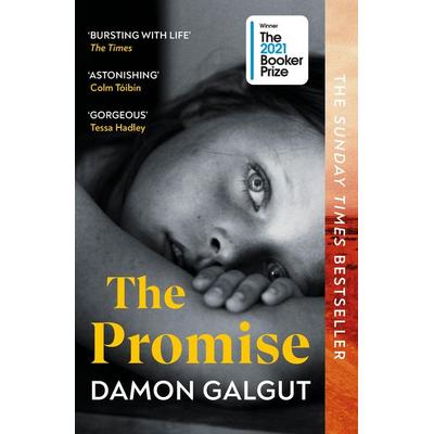 The Promise, Taschenbuch von Damon Galgut, Vermilion