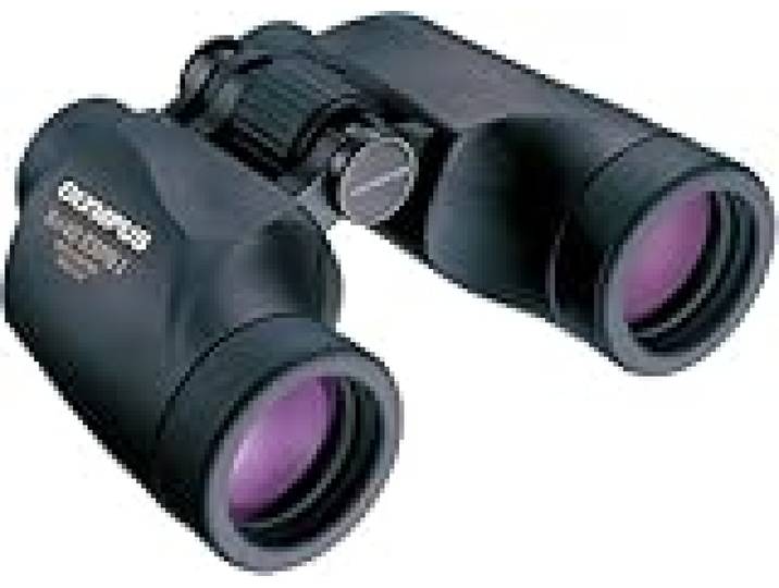 Olympus 8x42 EXPS I Jumelles à Prisme de Porro de Haute Précision