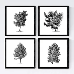 POSTER Set mit 4 Blättern der verschiedene Richtungen weiß Hintergrund 20x20cm Rahmenlos