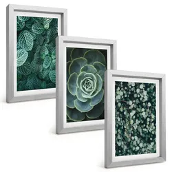 BILDER SET 3er Set - 20x30 cm Silberner Rahmen - Sukkulenten