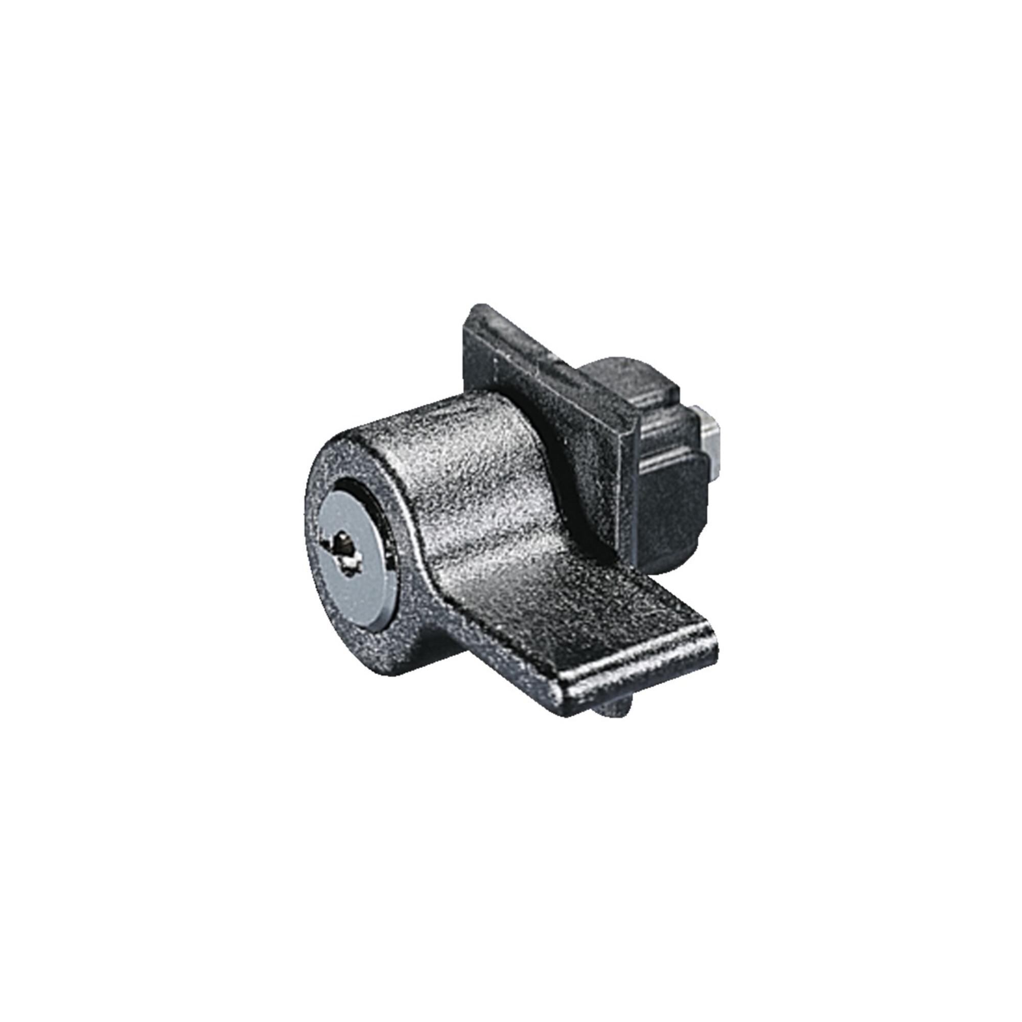 Rittal Verschlußeinsatz Ergoform Sicherheit SZ 2467.000 (2467000)