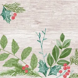 DUNI Klassik Serviette 40x40cm 1/4F. Winter Greenery