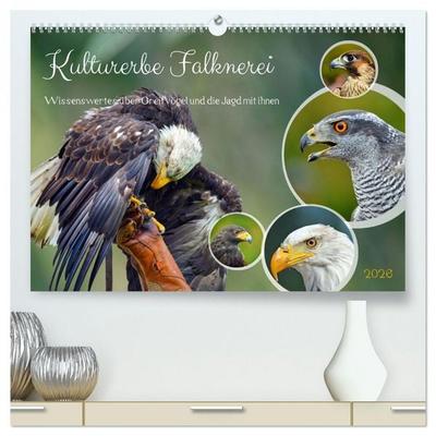 Kulturerbe Falknerei (hochwertiger Premium Wandkalender 2026 DIN A2 quer), Kunstdruck in Hochglanz