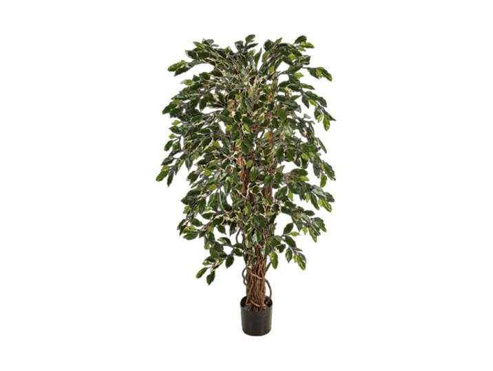 Lebensechte Kunstpflanze „Ficus Liana Branched“, verschiedene Grössen Grün Baq Design