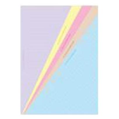 Filofax Einlage Size Notizpapier liniert farbig 30 Blatt (A5) (340508)