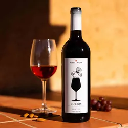 Albet i Noya Vinyes i Vins 2024 Albet i Noya Curios Tempranillo 2024 Tempranillo Spanien