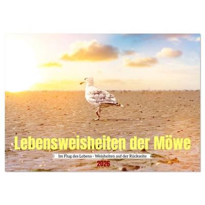 Lebensweisheiten der Möwe - Im Flug des Lebens (Wandkalender 2026 DIN A3 quer), CALVENDO Monatskalender