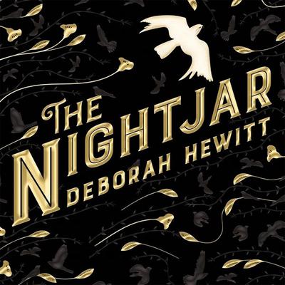 The Nightjar - Deborah Hewitt, Audio, 9781509896486