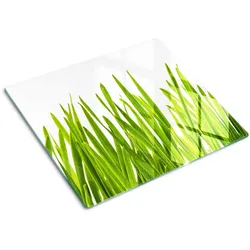 GLASPLATTE 60x52 cm Gras