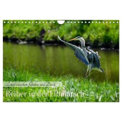 Reiher in der Elbmarsch (Wandkalender 2027 DIN A4 quer), CALVENDO Monatskalender