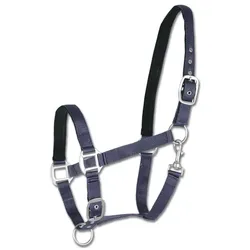 Halfter WA Satin blau PONY
