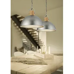 TRIO 303400167 Pendelleuchte Delhi 1x60W|E27
