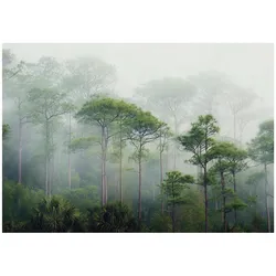 FOTOTAPETE 3D Effekt Wald im Nebel 300x210