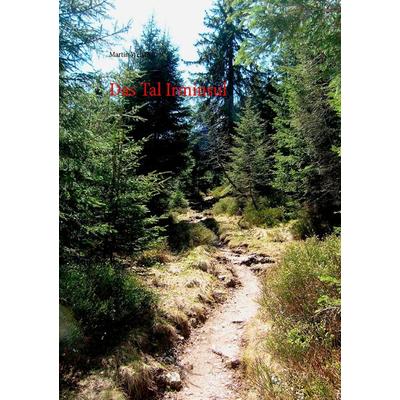 Das Tal Irminsul, Taschenbuch von Martin Welsch, BoD – Books on Demand, 978-3-7392-2034-5