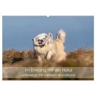 Im Einklang mit der Natur - unterwegs mit meinem Islandhund (Wandkalender 2027 DIN A2 quer), CALVENDO Monatskalender