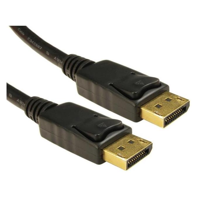 NEC DisplayPort - DisplayPort (2 m) (100012575)