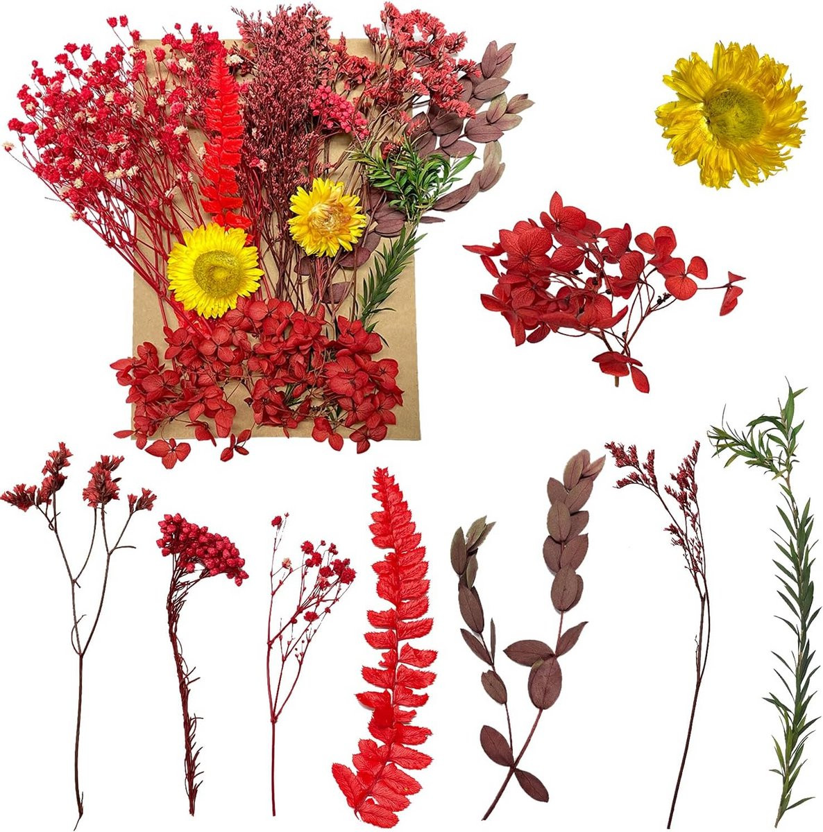 Gedroogde Bloemen voor Knutselen, Hars en Decoratie - Persing Bloemen voor Kaarten en Sieraden
