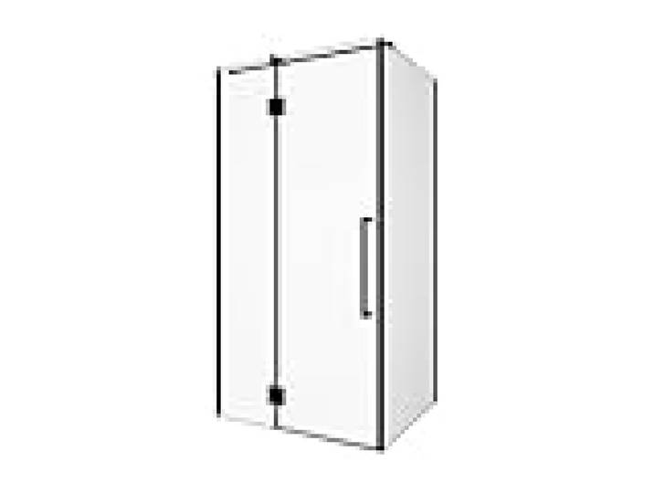 Vente-unique - Paroi de douche fixe avec porte pivotante noir mat style industriel - 80 x 100 x 190 cm - PRINCETON