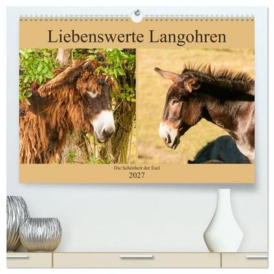 Liebenswerte Langohren - Die Schönheit der Esel (hochwertiger Premium Wandkalender 2027 DIN A2 quer), Kunstdruck in Hochglanz