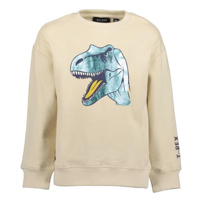 Sweater BLUE SEVEN "Sweatshirt", Jungen, Gr. 116, beige (0490, kiesel), 100% Baumwolle, normal normal, Rundhals, gerader Abschluss, Sweatshirts Sweater