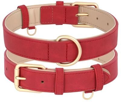 Uplifted Finds Soft Padded PU Leather Collar & Leash Set red Collar xl