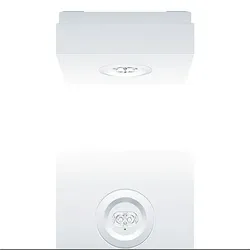 Zumtobel 42931401 Sicherheitsleuchte RESCLITE PRO MSC SPOT E8D WH