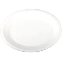 250x Platten aus Bagasse, naturweiß, oval 32x25cm, 50Stk.