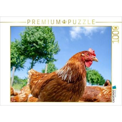 CALVENDO Puzzle Glückliches Huhn | 1000 Teile Lege-Größe 64x48cm Foto-Puzzle für glückliche Stunden