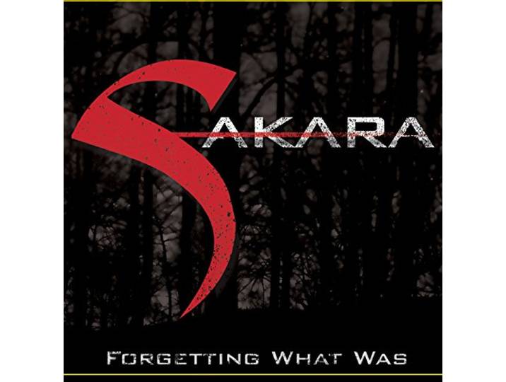 Sakara - Forgetting What Was