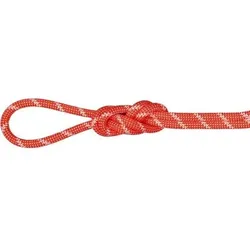 MAMMUT Bergseil 8.0 Alpine Classic Rope 30m, Größe 30 in Rot Rot