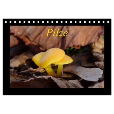 Pilze (Tischkalender 2027 DIN A5 quer), CALVENDO Monatskalender