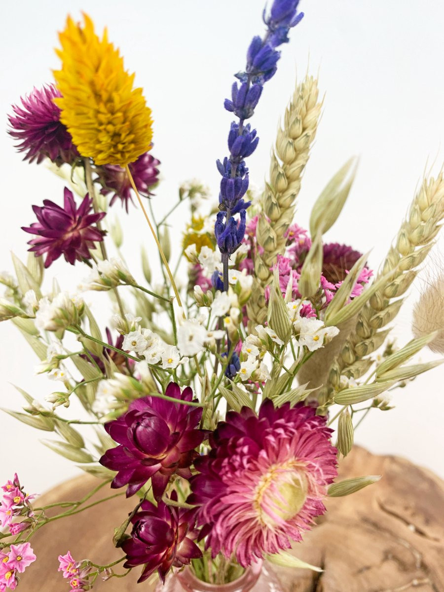 Setje droogbloemen Little dreams in roze en transparant