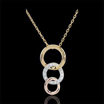 Edenly Collier Gala - Tricolor