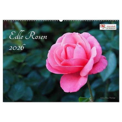 Edle Rosen (Wandkalender 2026 DIN A2 quer), CALVENDO Monatskalender