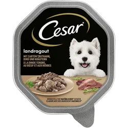 Cesar Landküche Pute & Rind in Sauce 14x150 g