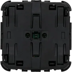 Busch-Jaeger, Deckenleuchte, Busch-Jäger Bedienelement flex, 2-fach, Wireless Mit Orientierungslicht 62721-WL