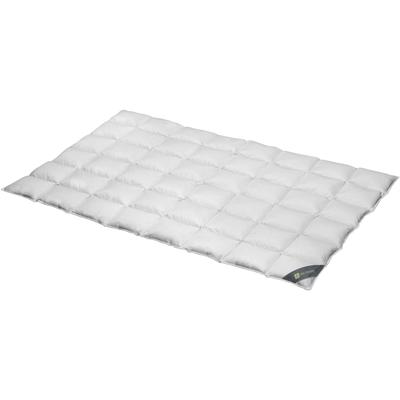 Daunenbettdecke SPESSARTTRAUM "Wildente Bettdecken 135x200cm & weitere Größen", silber (silberfarben), B:155cm L:200cm, Bezug: 100% Baumwolle. Füllung: 100% Daunen, Bettdecken, Bettdecken Ganzjahresbettdecke, Winter, Sommer