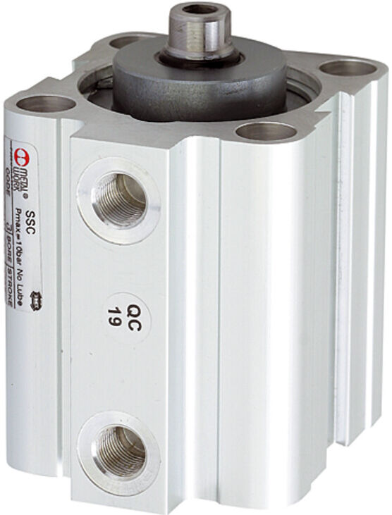 Riegler Kurzhubzylinder, doppeltwirk., Magnet, Kolben-Ã˜ 50, Hub 25, G 1/8 (3.DM.50025)