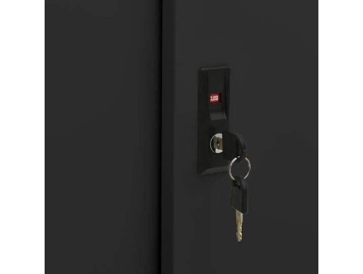 Armoire de bureau - VIDAXL - Porte coulissante - Acier - Noir
